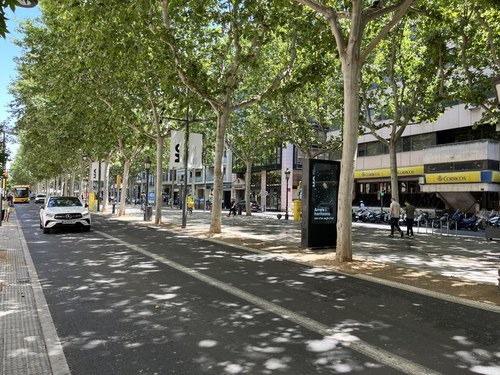Imatge de la notícia La Paeria avança amb la licitació de les obres de projectes estratègics