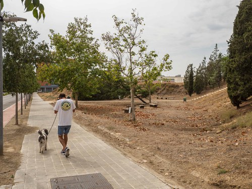 Imatge de la notícia La Paeria habilitarà un nou parc per a gossos entre Balàfia i el Secà de Sant Pere 