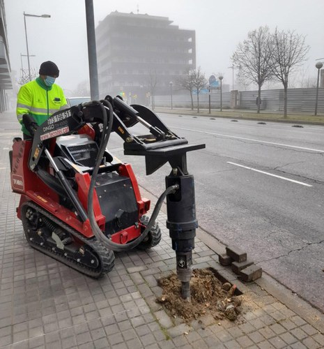 Imatge de la notícia La Paeria posa a punt 200 escocells de la ciutat per a la pròxima plantació d’arbrat 