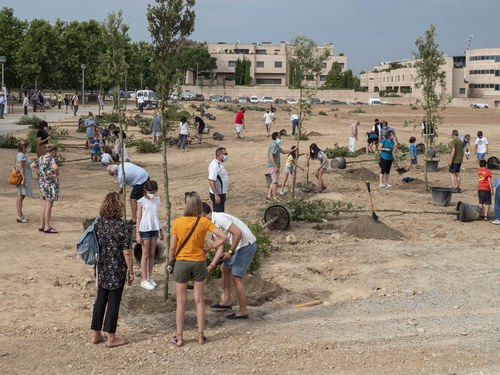Imatge de la notícia La Paeria promou per aquest dilluns una nova plantació popular al parc del Joc de la Bola 