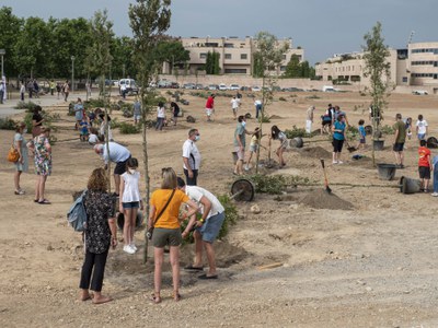 La Paeria promou per aquest dilluns una nova plantació popular al parc del Joc de la Bola 