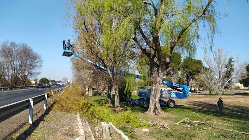 Imatge de la notícia La Paeria treballa en la dignificació del Parc de les Basses 