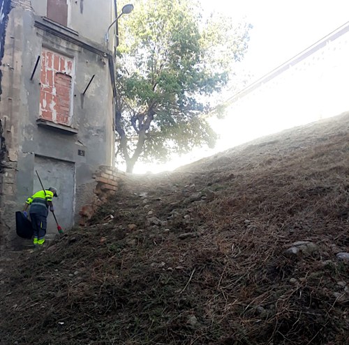 Imatge de la notícia Neteja i desbrossament del carrer Paer Rufes 