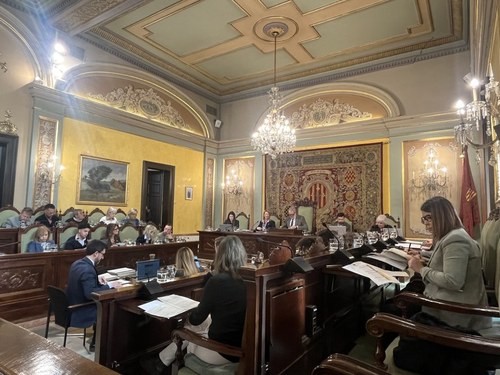 Imatge de la notícia Pas endavant per al càmping de Les Basses amb l’aprovació al Ple dels plecs de la concessió