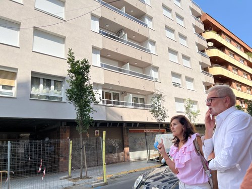 Imatge de la notícia Tramitades 971 sol·licituds per a la rehabilitació d’edificis a la ciutat de Lleida