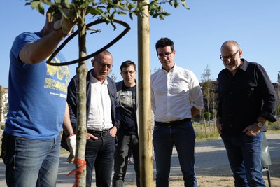 Una trentena de veïns i veïnes participen en la plantació popular d'arbres al Parc de Joc de la Bola 