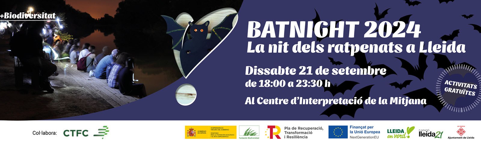 Bat Night 2024