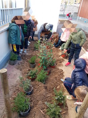 Tallers de sostenibilitat i biodiversitat
