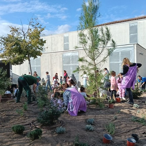 Imatge de la notícia 30 actuacions de renaturalització dels patis escolars de Lleida