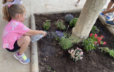 Fem escocells al pati