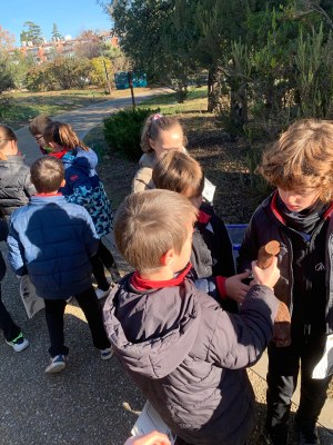 Descobreix l'Arborètum amb el programa Lleida en Viu