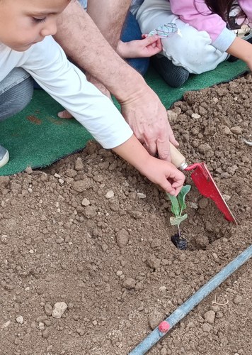 Imatge de la notícia L’hort a FEDAC Lleida: un espai verd que fa créixer la inclusió des de la infància