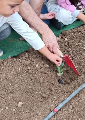 L’hort a FEDAC Lleida: un espai verd que fa créixer la inclusió des de la infància