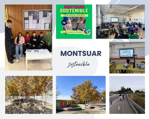 Imatge de la notícia L’Institut Manuel de Montsuar impulsa noves mesures per esdevenir un centre més sostenible