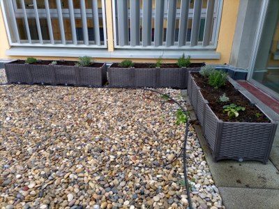 Nous espais verds a l’Institut Ronda