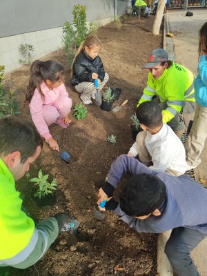 Oasi verd a l'Escola