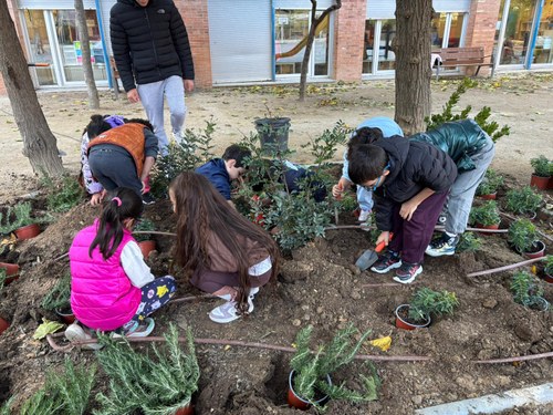 Imatge de la notícia Plantació arbustiva a l’Oasi de Biodiversitat de l’Escola Joc de la Bola