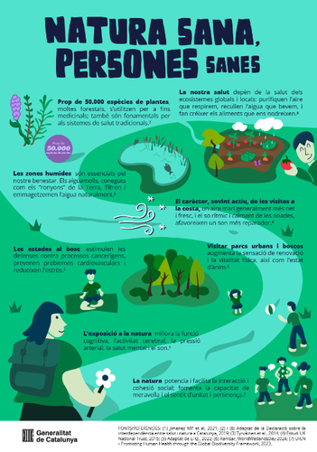 Imatge de la notícia Salut i natura (nova web!)