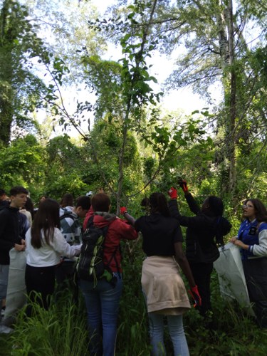Imatge de la notícia Acció conjunta! ApS Oasis de Biodiversitat a la Mitjana