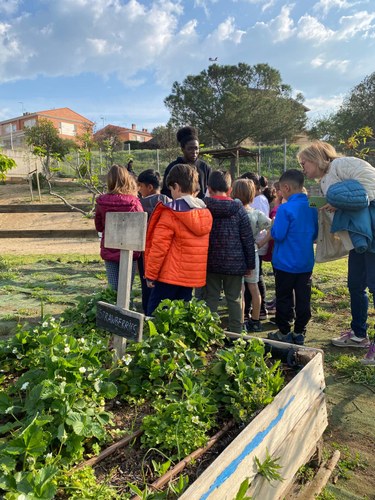 Imatge de la notícia Tallers impartits per futurs educadors ambientals de l'Escola del Treball de Lleida sobre la importància de la biodiversitat als horts escolars.