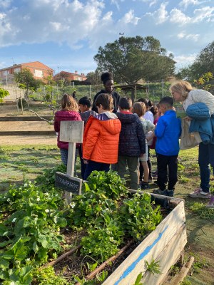 Tallers impartits per futurs educadors ambientals de l'Escola del Treball de Lleida sobre la importància de la biodiversitat als horts escolars.