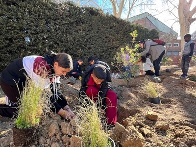 La renaturalització de 14 patis escolars avança!