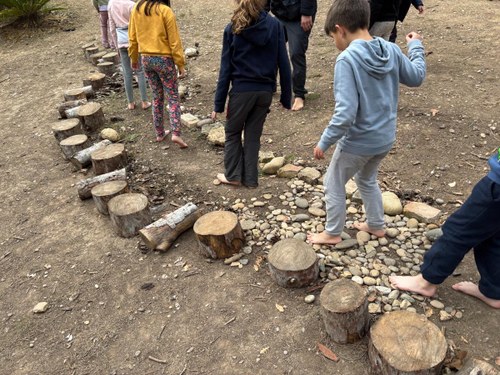 Imatge de la notícia Sentim la terra, connectem amb la vida, estimem la natura