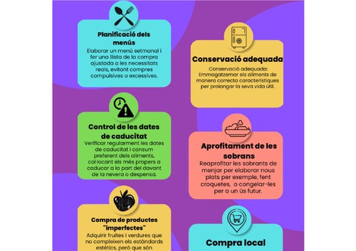 Imatge de la notícia Treball per evitar el malbaratament dels aliments