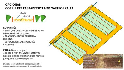 Comanda conjunta i dossier: Hort Escolar