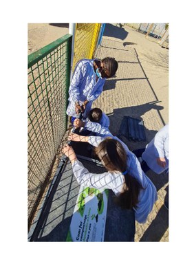 Compostatge a l'escola