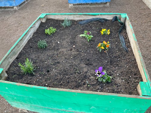 Imatge de la notícia Engeguem la construcció d'un hivernacle en un dels palots