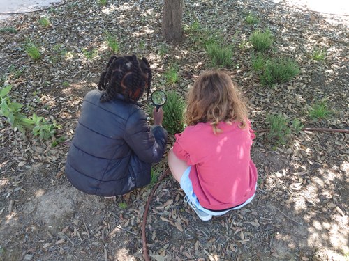 Imatge de la notícia Activitats de biodiversitat i d’hort a l’escola Riu Segre