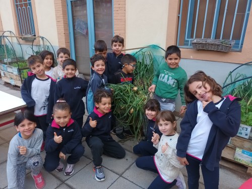 Imatge de la notícia Hort de Maristes: aprofitem el que cultivem