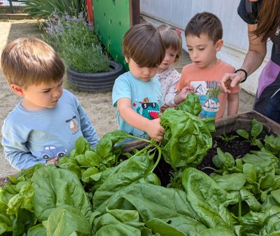 Hort i racó de biodiversitat a l'Escola Bressol Municipal Llívia