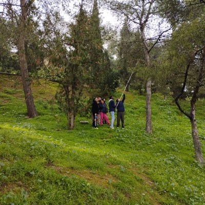 Instal·lació de caixes niu al Turó de Gardeny