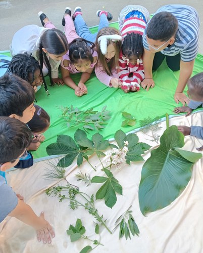 Imatge de la notícia Sortim al pati a fer classe!