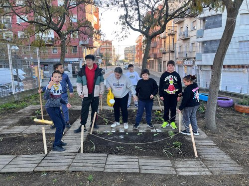 Imatge de la notícia El Centre d'Educació Especial Esperança impulsa l’hort escolar per promoure la sostenibilitat