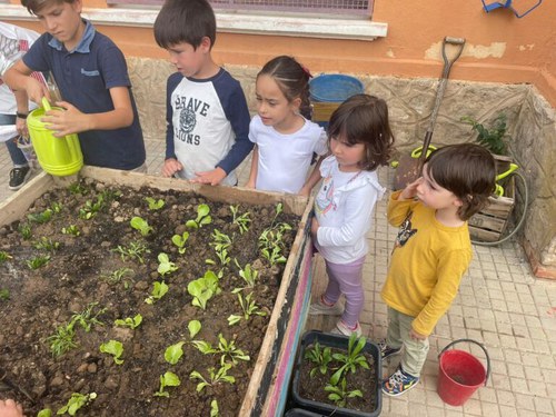 Imatge de la notícia Hort d'hivern i compostatge a l'escola