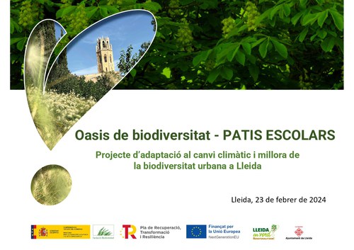 Imatge de la notícia Oasis de Biodiversitat als patis escolar