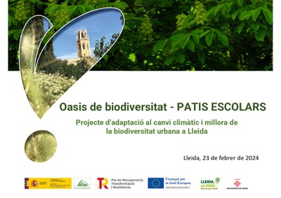 Oasis de Biodiversitat als patis escolar