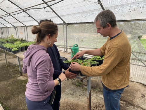 Imatge de la notícia Les maduixeres de l'Horta de Lleida