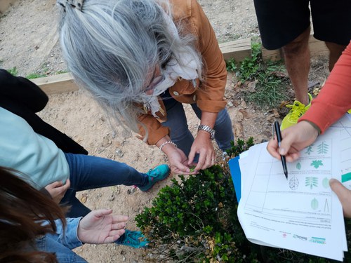 Imatge de la notícia Com fer una descoberta de la biodiversitat al pati?