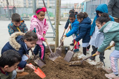 Els centres educatius amb les plantacions d'arbres a la ciutat 