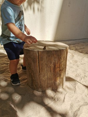 Els rastres a l'escola: observació i sorpresa 