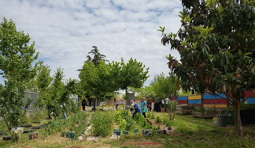 Imatge de la notícia Tens l'hort a punt? 