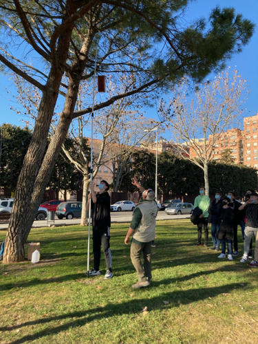 Imatge de la notícia Protegim les aus de Lleida