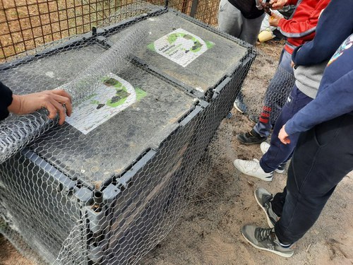 Imatge de la notícia A un problema, una solució: petits rossegadors a la compostadora