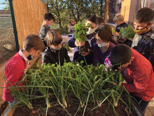 Imatge de la notícia Posem en marxa l'hort escolar i  engeguem el compostador