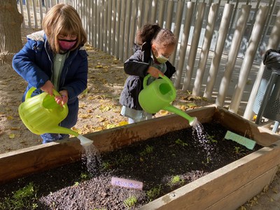 L’hort a l’escola Joc de la Bola