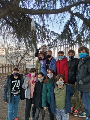 L’alumnat de l’Escola Frederic Godàs penja menjadors d’aus als arbres del pati